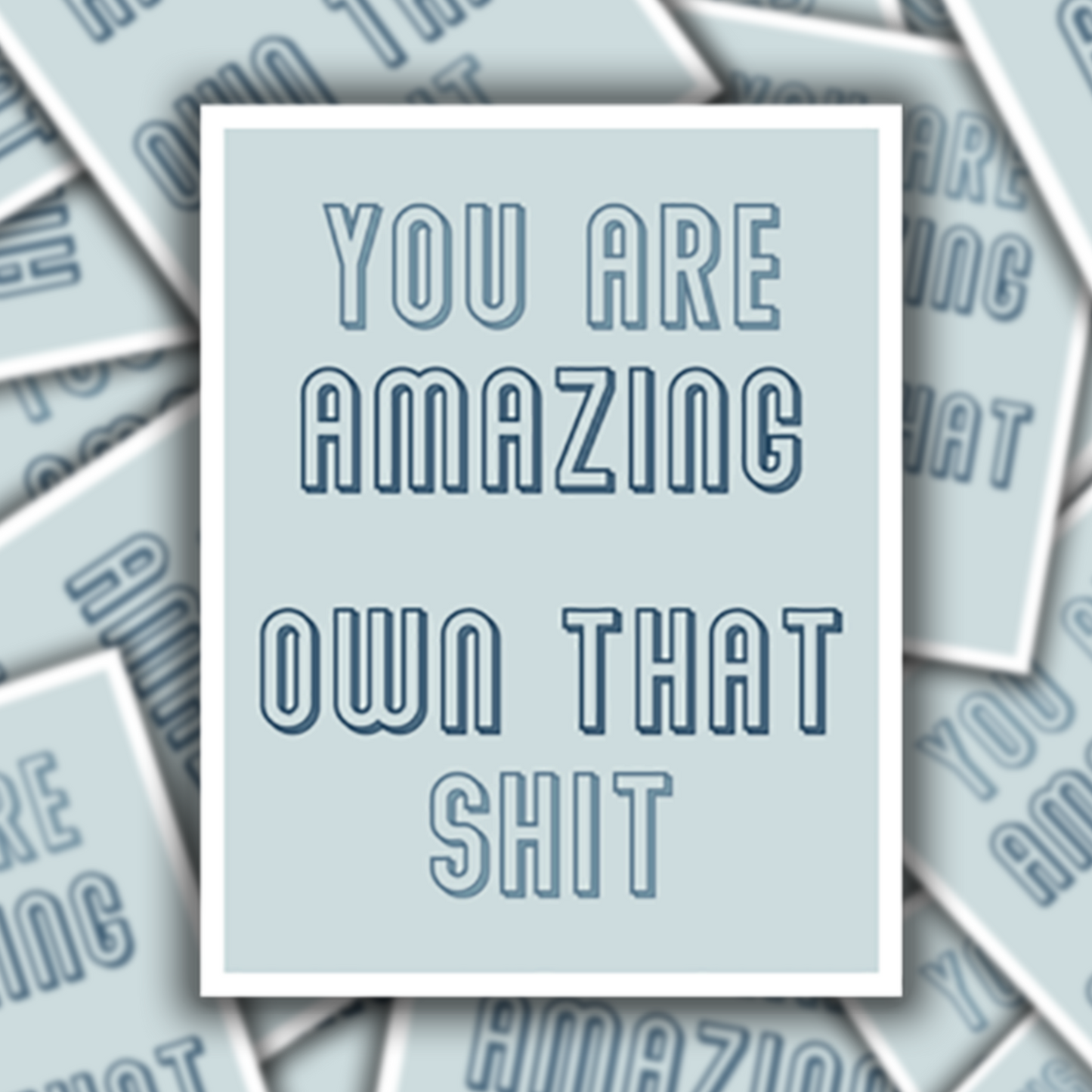 Own that sh!t: magnet