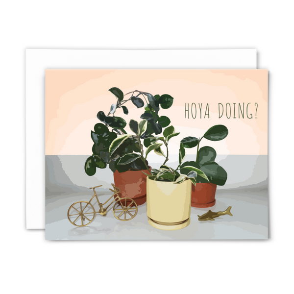 "Hoya doing?" blank greeting card from "Planty Puns" collection, featuring Hoya carnosa 'Chelsea', Hoya carnosa 'Krimson Queen', and Hoya obovata on cream and gray background with green lettering; with white envelope