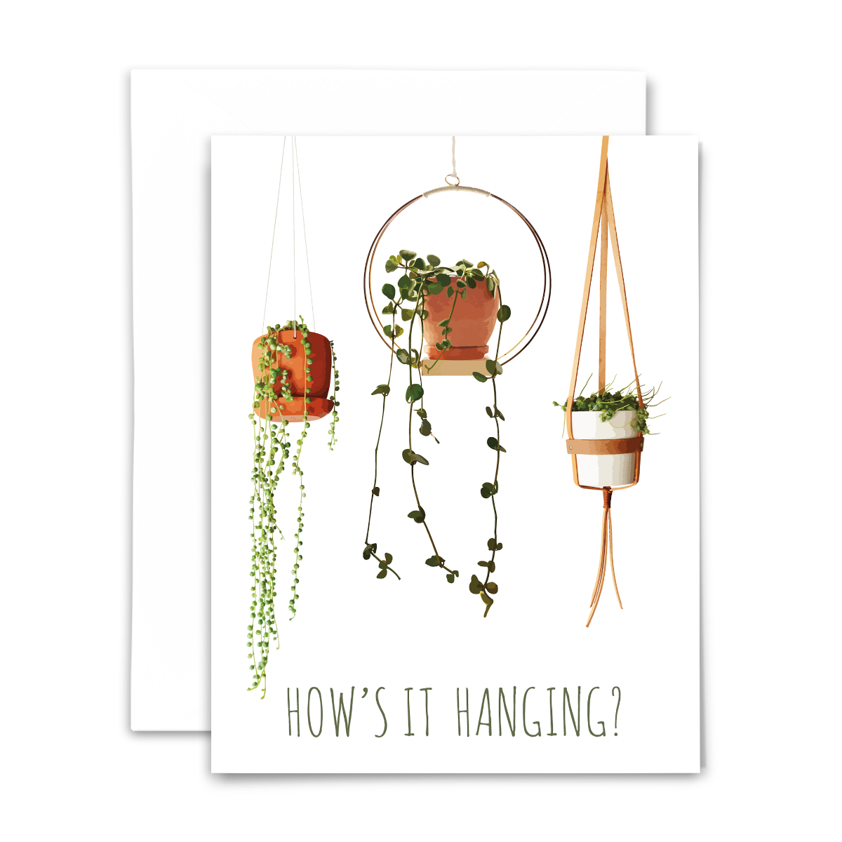 How's it hanging?" blank greeting card from "Planty Puns" collection, featuring string of pearls, string of turtles, and peperomia hope on white background with green text; with white envelope