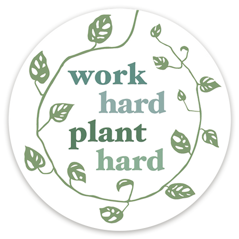 3" round vinyl waterproof durable sticker with monstera vine and green font "work hard plant hard" on white background